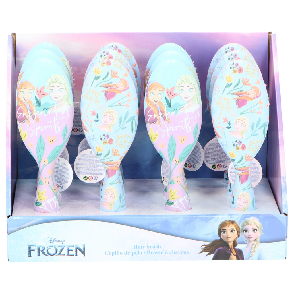 Frozen Hair Brush D06619MC