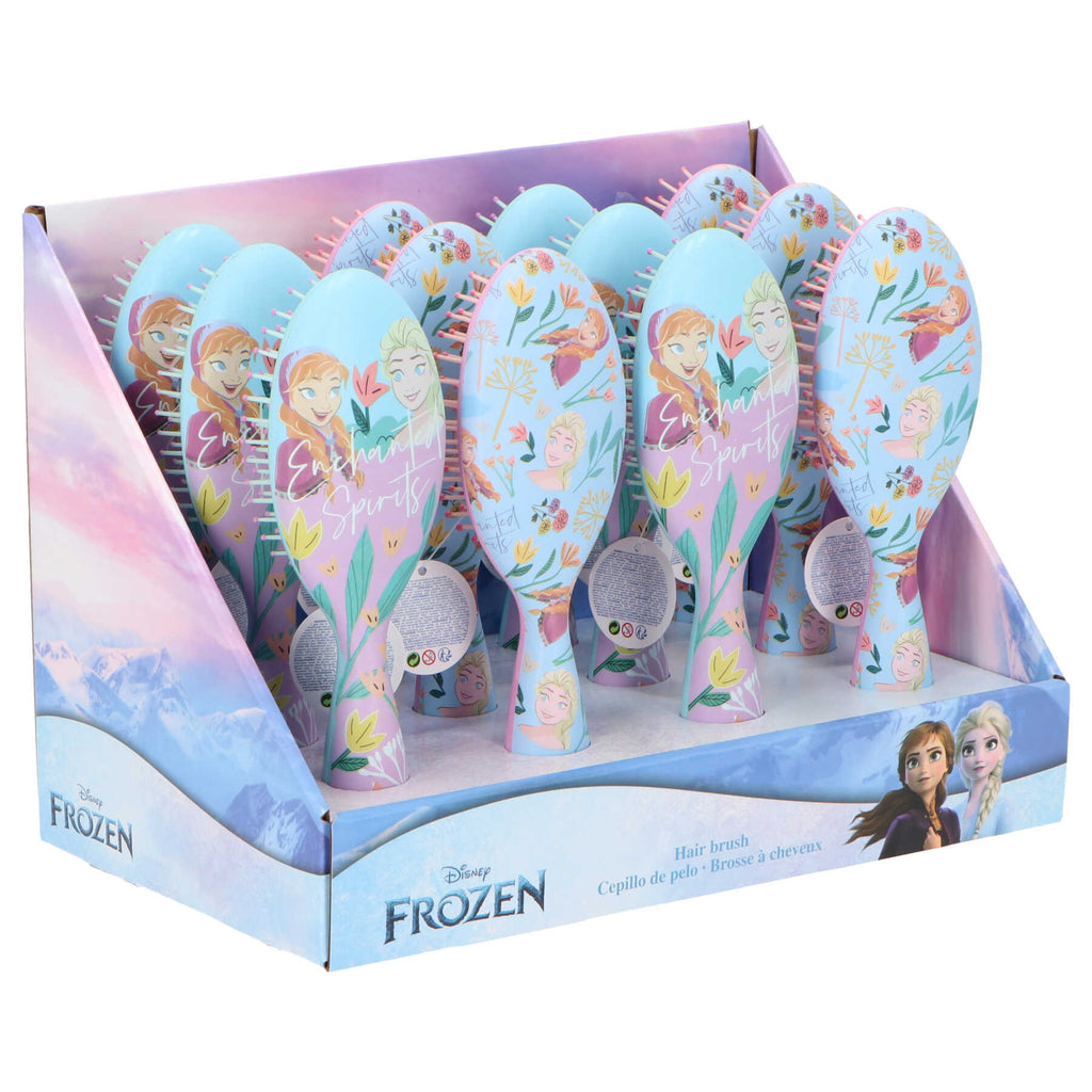 Frozen Hair Brush D06619MC